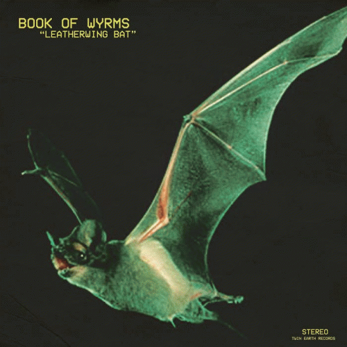 Book Of Wyrms : Leatherwing Bat